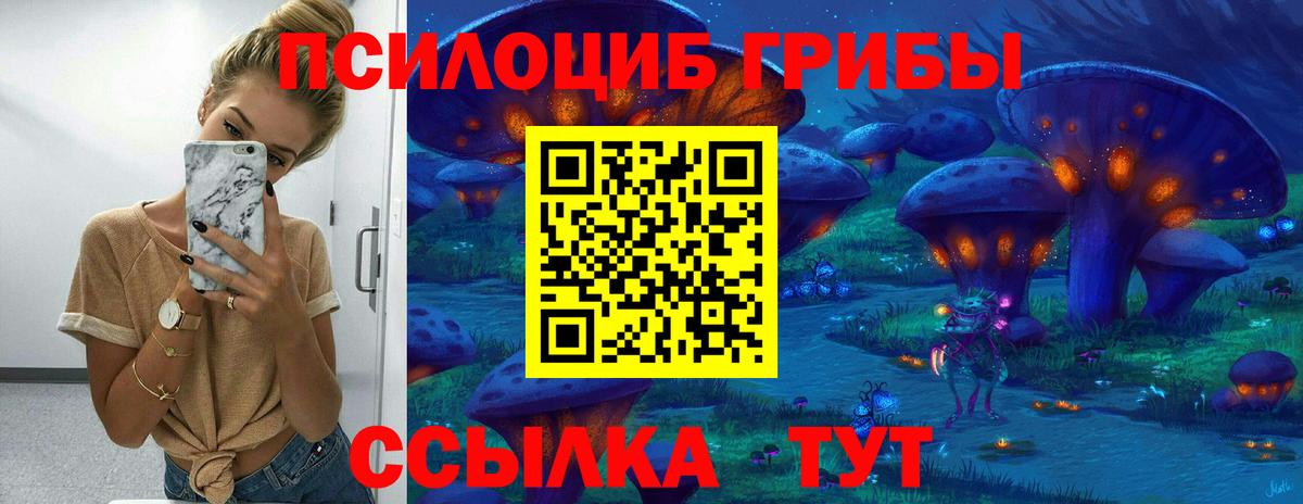 Минеральные Воды  Галлюциногенные грибы прущие грибы  Вход с VPN 